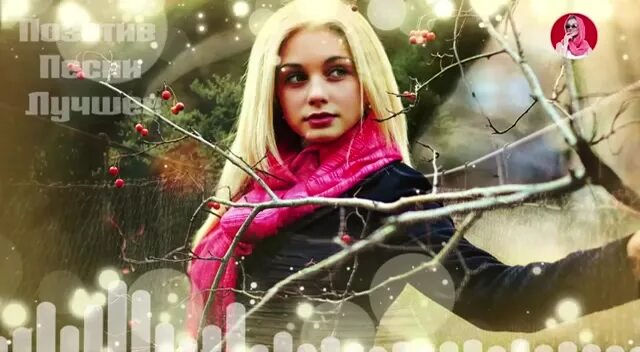 Фото пирамид майя до реставрации. Древние стелы. Собака древней породы майя. Мексика текила картинки древние знаки. Майя старых.