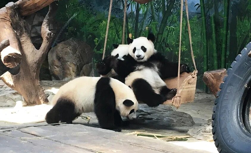 Pandas difference