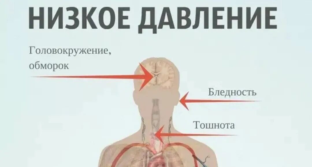 Как поднять давление у мужчины. Что поднимает давление. Что повышает давление. Что повышает давление в домашних. Чем повысить давление.