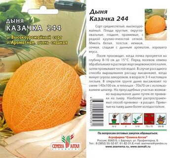 Описание характеристик дынь