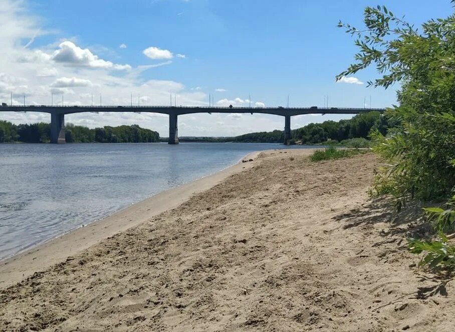 Солотчинский мост через оку. Мост дублер рязань. Проект моста дублера через оку в рязани на карте. Дублер солотчинского моста. Рязань ока мост.