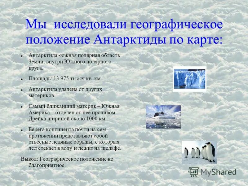 Доклад от южной до полярного края. Презентация Полярные области земли. Цели изучения Южной полярной области земли. Кто исследовал Полярные области земли. Как люди исследовали Полярные области земли.