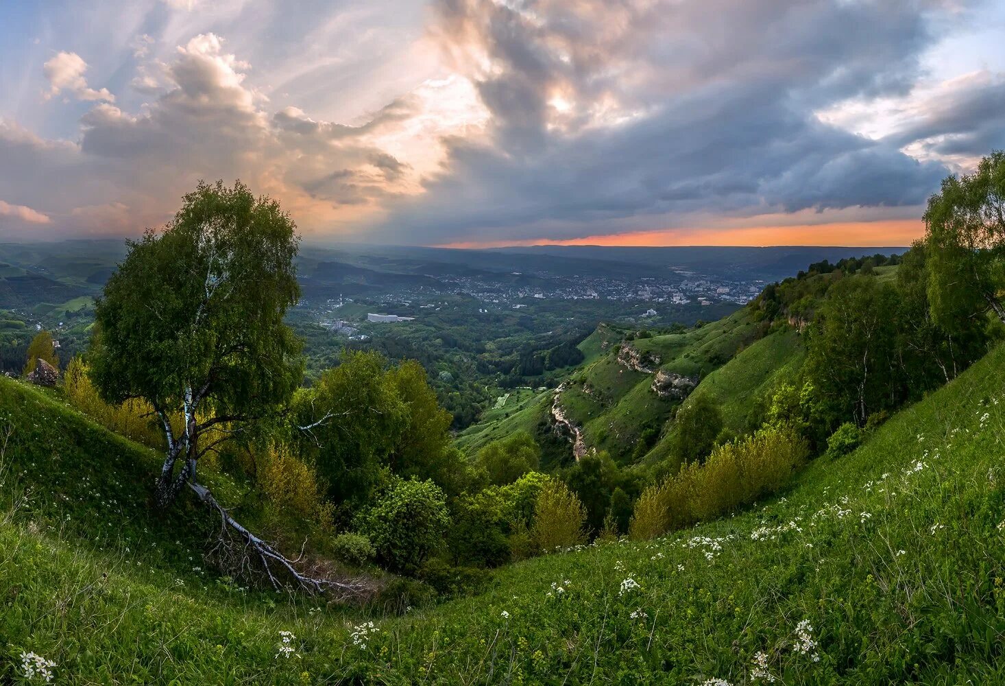 Кисловодский национальный парк природа. Гора малое седло кисловодск. кисловодск парк малое седло. кисловодский национальный парк гора. кисловодск холмы.