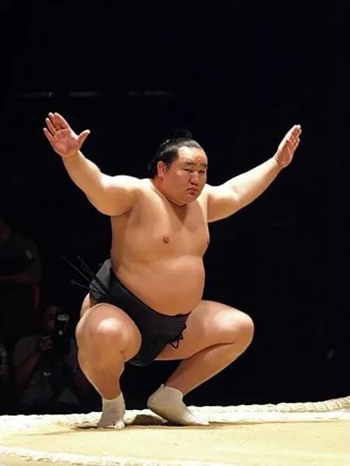 2 sumo