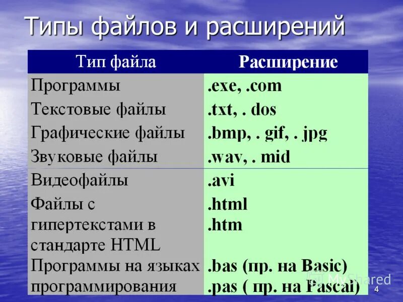 Типы расширения файлов. Типы файловых систем. Основные типы файлов. Типы файловых структур. Имя файла тест