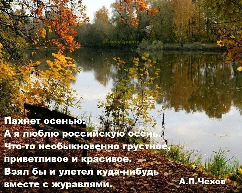 Стихотворение чехова весной. Осень пахнет. Запах осени цитаты. Чем пахнет осень. Пахнет осенью цитаты.