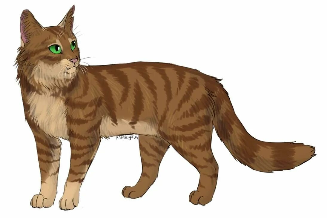 Коты воители метеор. Яблочник коты воители. коты воители березовик. метеор кот коты воители.