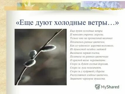 Ветерок дует холодным
