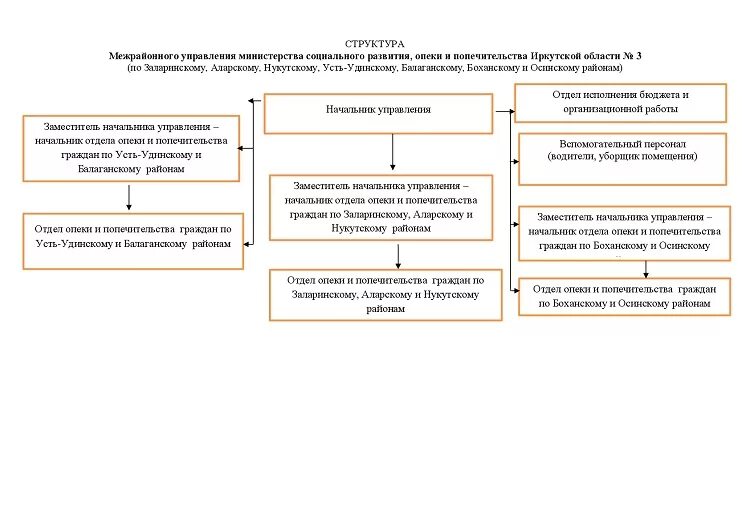 Межрайонного управления министерства социального развития. Структура отдела опеки. Структура Министерства социального развития. Структура отдела опеки и попечительства. Структура департамента опеки.