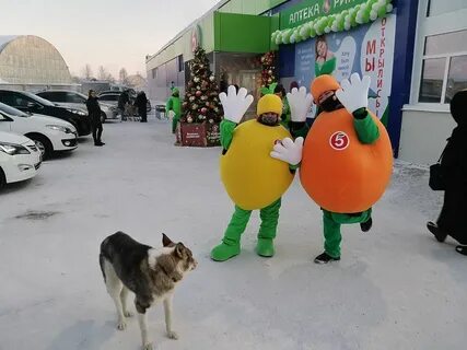 Пятерочка салехард