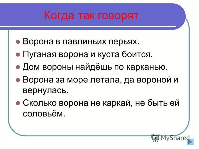 распиленные дрова пуганая ворона. ворона круглый год каркает. распиленные дрова пуганая ворона. пословица пуганая ворона. рисунок к пословице пуганая ворона куста боится.