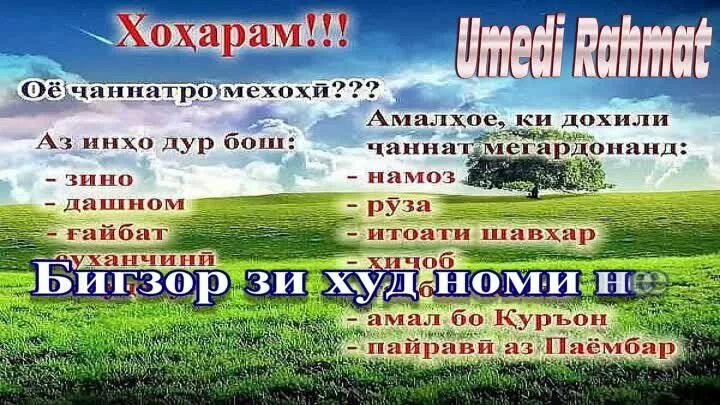 Нияти руза дахон бастан бо забони точики. Умеди РАХМАТ Шер. Умеди.РАХМАТ.2020. Табрикоти туёна. Умеди РАХМАТ марг.