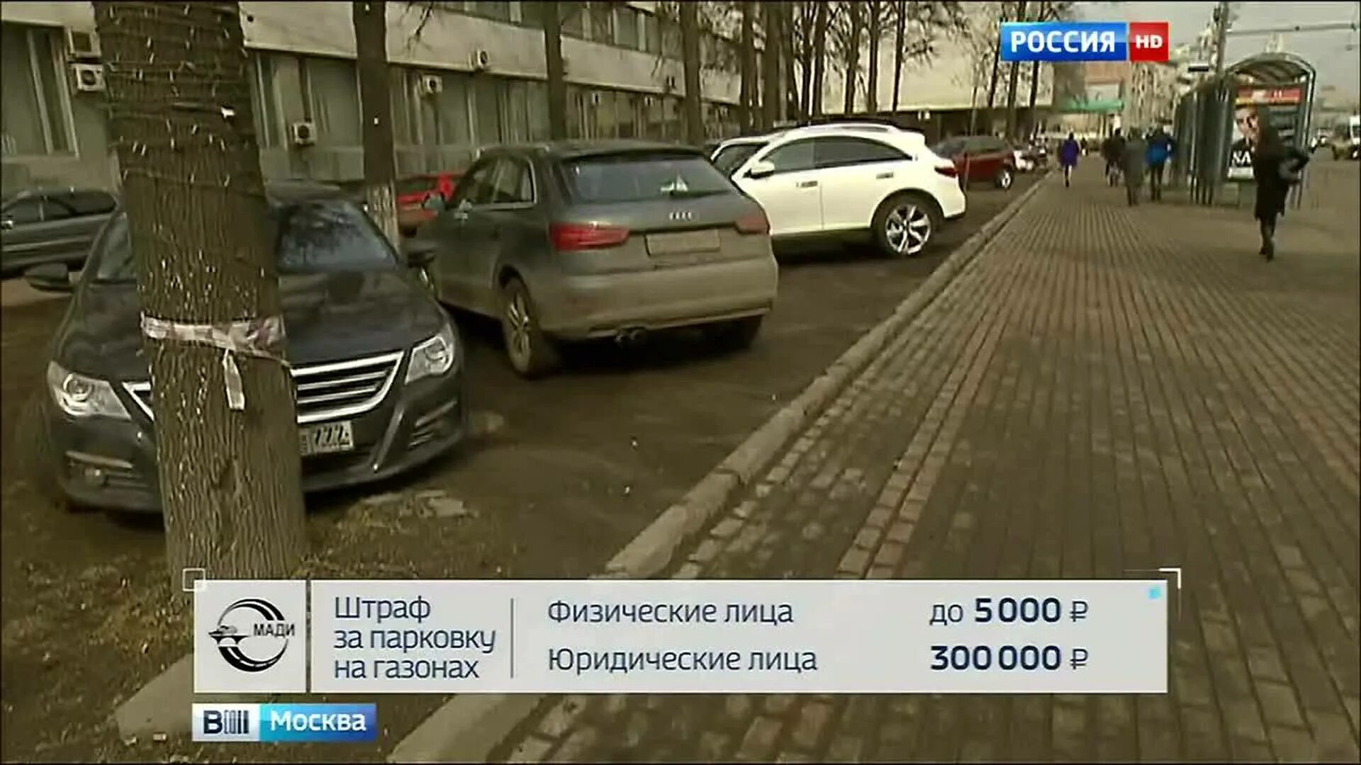 Штраф парковка 5000 рублей