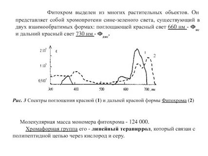 Фитохром