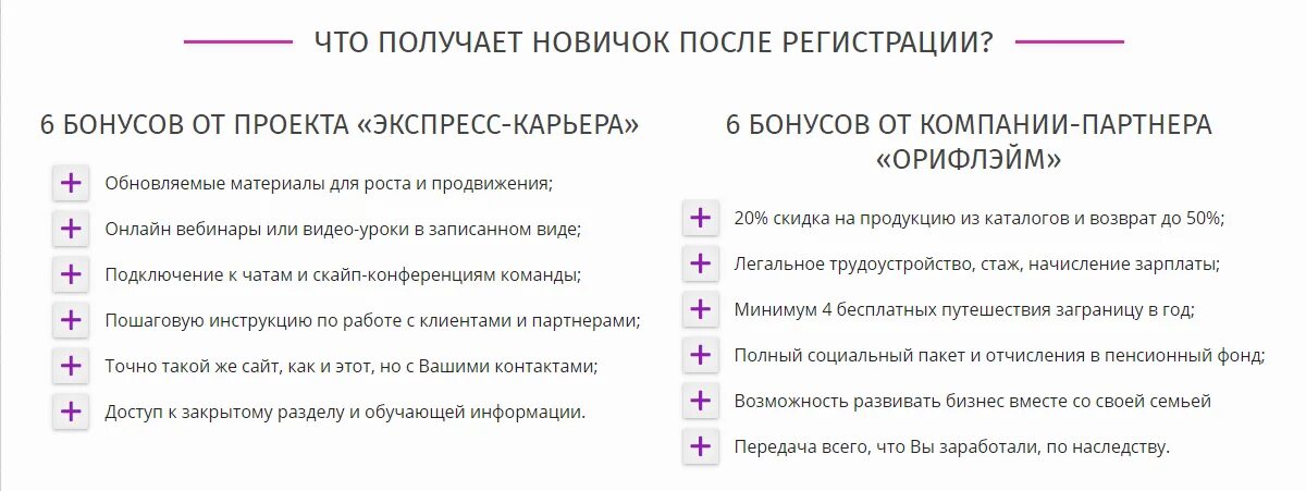 Новичок даты. Что идёт после новичка. Кто идет после новичка. Бонусы за проекты в компаниях. После новичка.