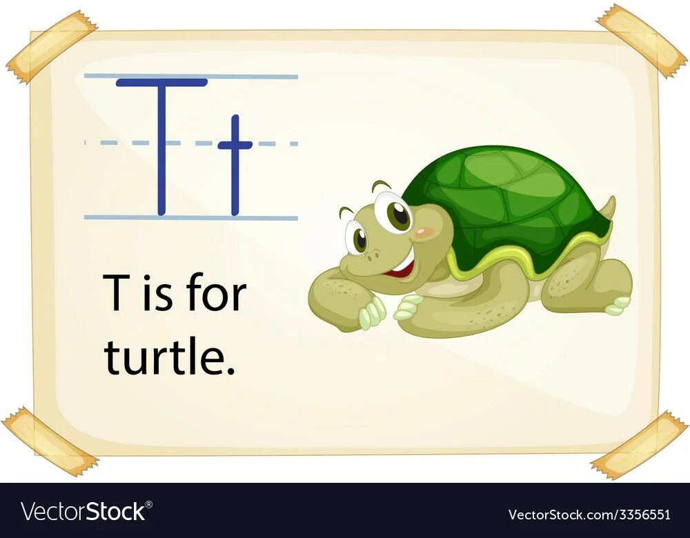 T turtle. Черепашка с письмом. Черепаха вектор. Tutel черепаха. Задача про кошку и черепаху на столе.