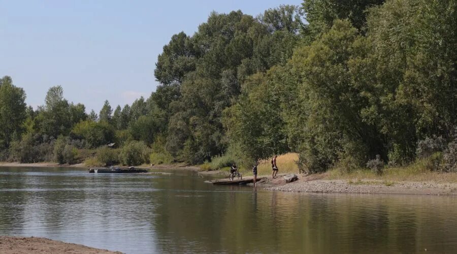 Уровень воды в реках алтайского края сегодня. Фотографии опасных речек. Алтай возле воды. Вода речка сон. Вода в реке Албаши.