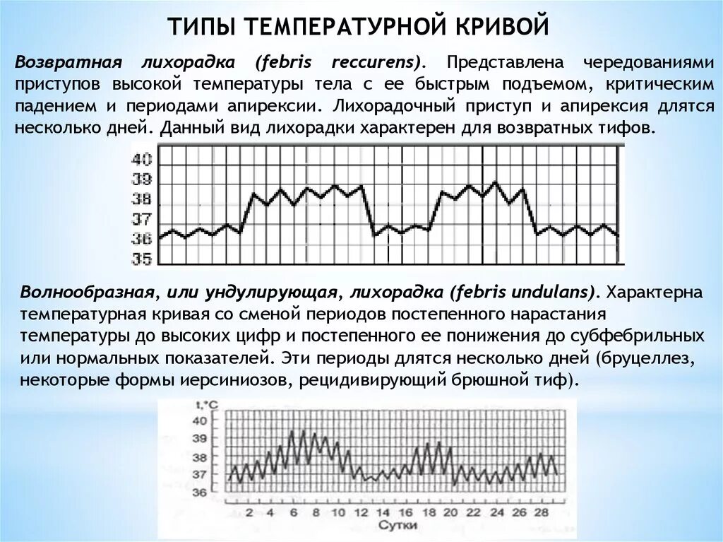 Заболевания с подъемом температуры. Температурная кривая при возвратном тифе. Возвратная лихорадка температурная кривая. Температурная кривая при волнообразной лихорадке. Температурная кривая при возвратной лихорадке.