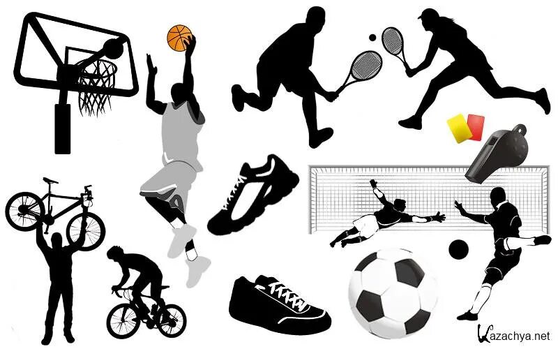 Спортивная тематика. Спортивные векторные изображения. Спортивная тематика вектор. Спорт рисунок.