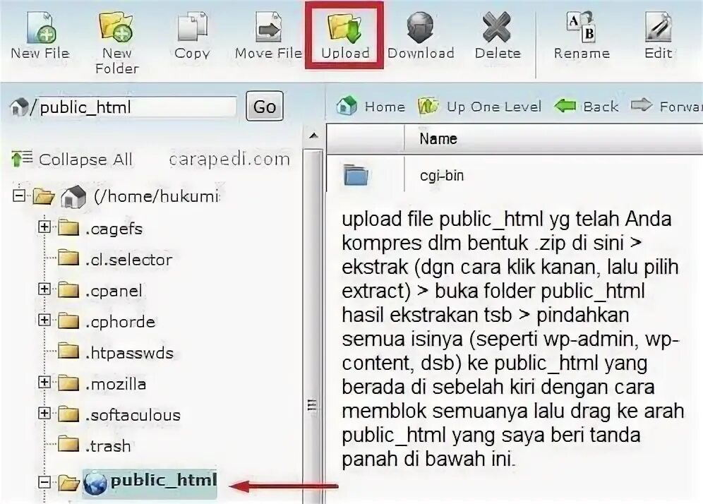 Файл public html. Файл public html