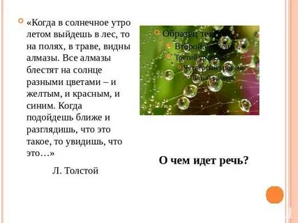 Текст летнее утро