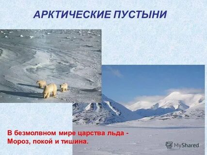 Арктические пустыни и человек 4 класс