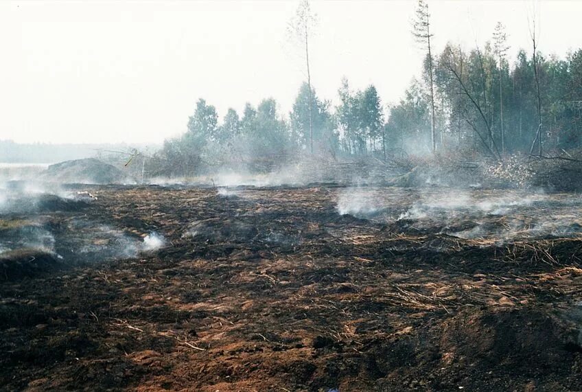 подземный торфяной лесной пожар. торфяные пожары многоочаговые. пожар болото. пожары на болотах. лесные и торфяные пожары.