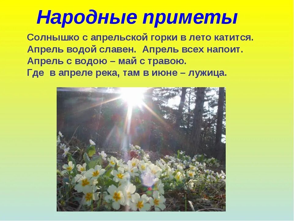Найти народную примету