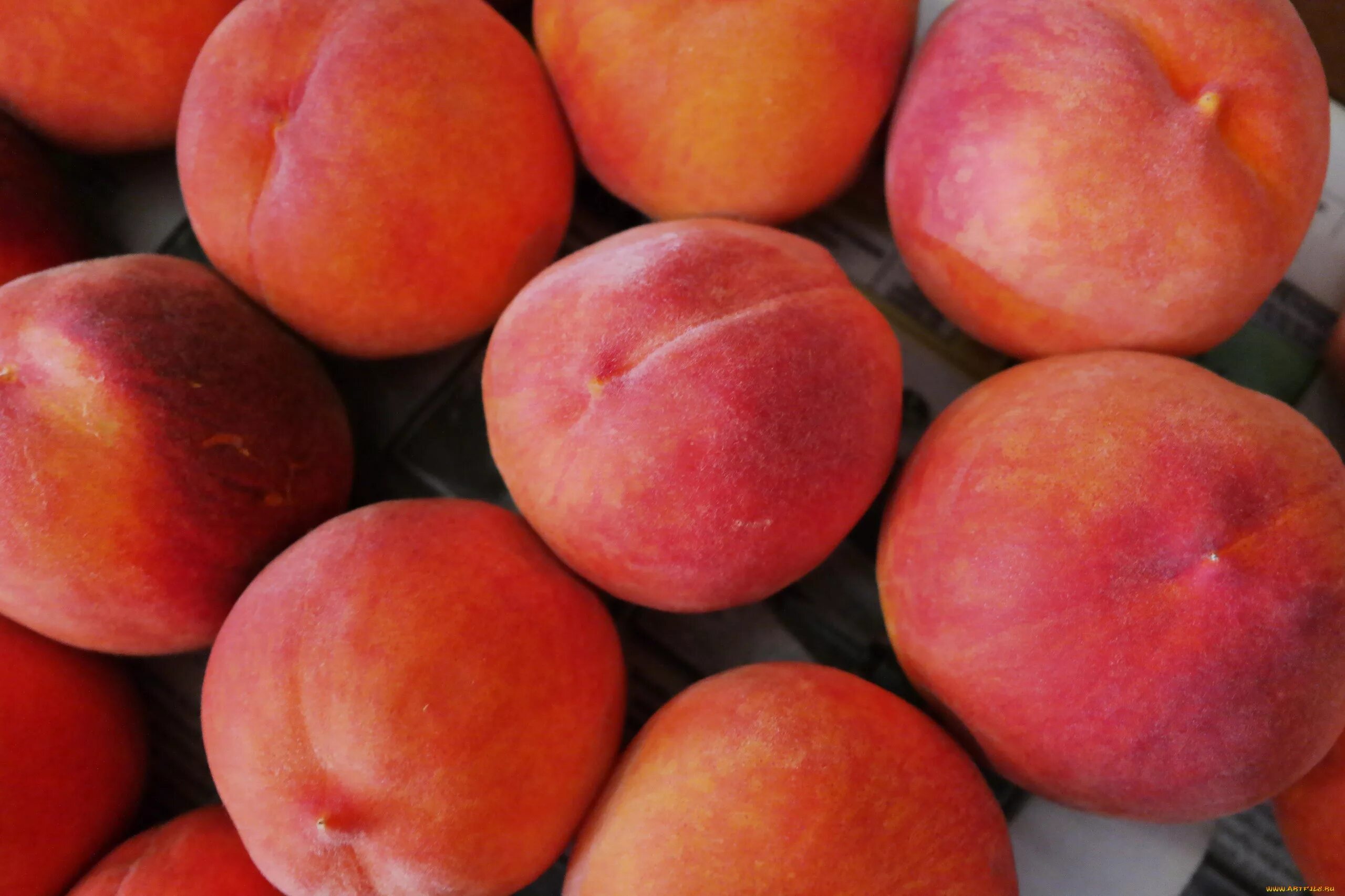 Персик слива абрикос как называется. Персик нектарин абрикос. Слива абрикос нектарин персик. Абрикос персиковый. Розовый персик.