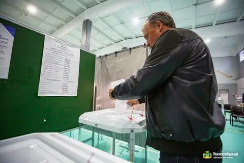Голосование орел