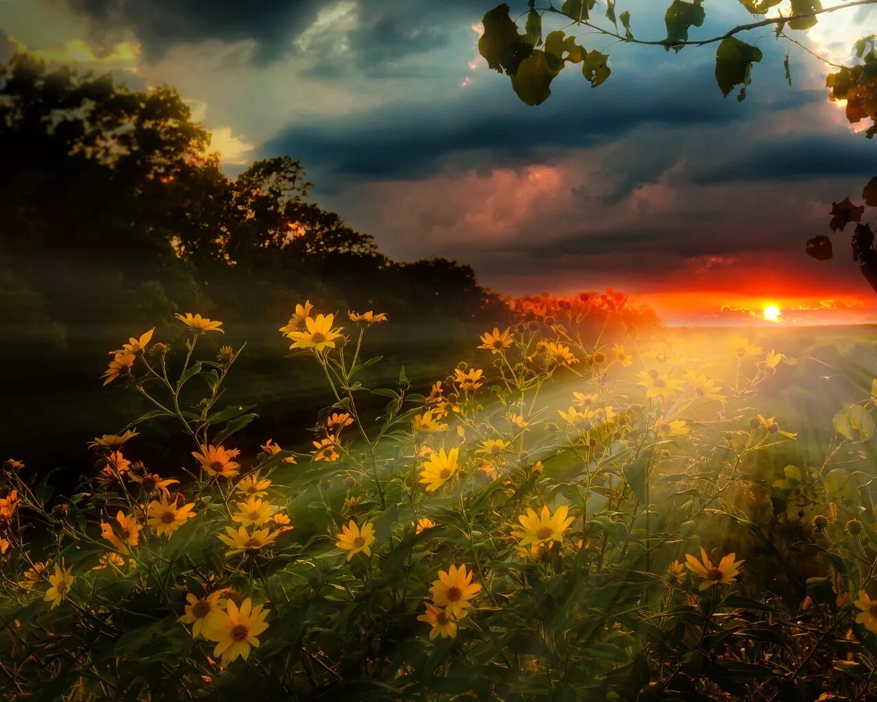 Эдвард григ утро фото. Лето вечер. Красивый рассвет. Красота земли русской. Закат над морем.