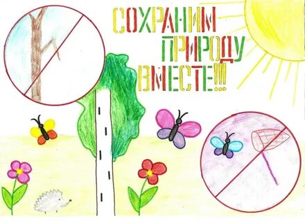 Рисунок правила природы