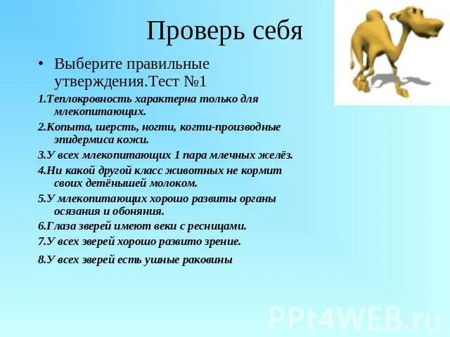 Тест млекопитающие 8 класс с ответами. Млекопитающие тест 1 класс. Тест про млекопитающих животных 4 класс.