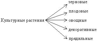 Схема многообразие видов растений