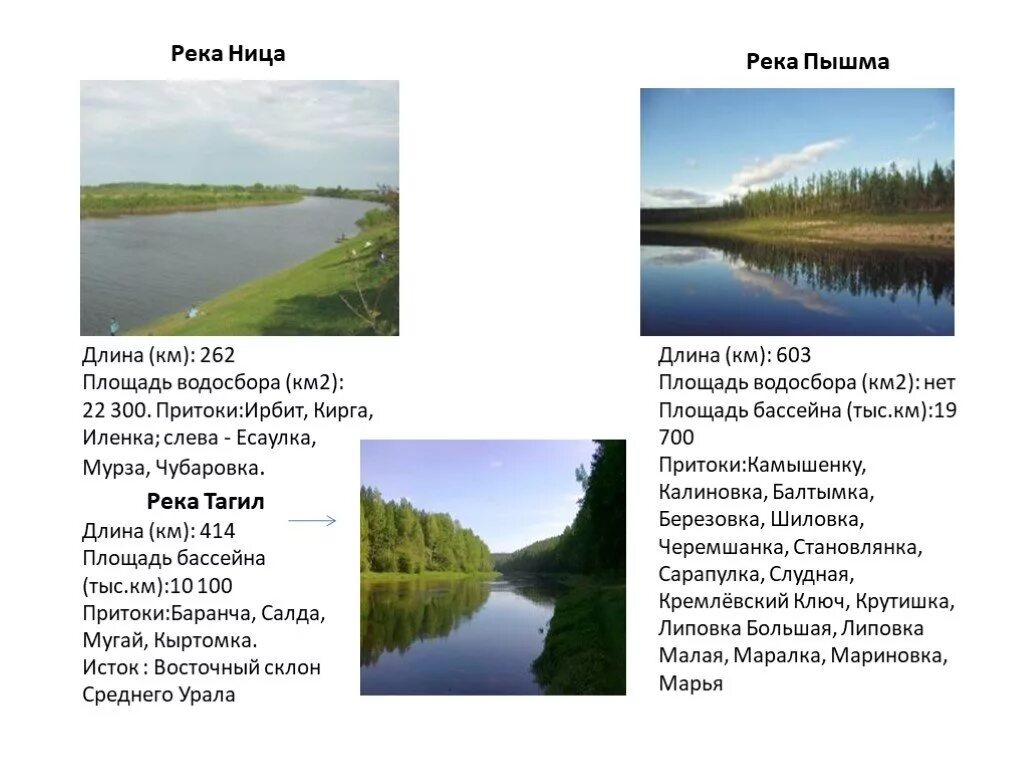 Водные богатства свердловской области. Река Ница Ирбит. Сообщение о реке Свердловской области. Притоки реки Пышма. Рассказ о реке Пышме Свердловская область.