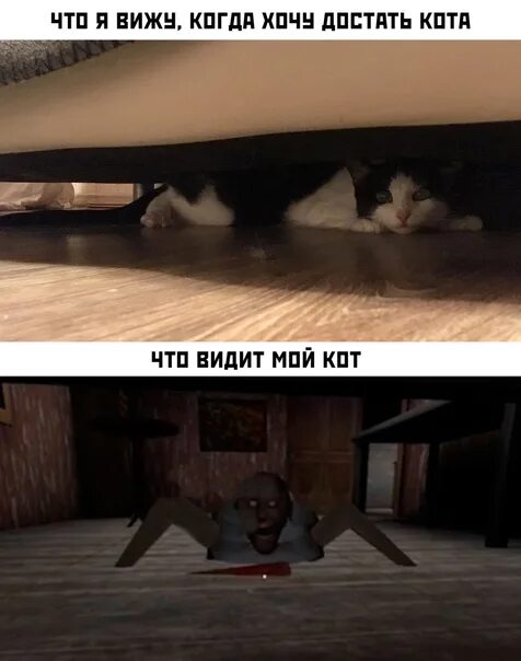 Кот под кроватью. Кота вытаскивают Мем. Два котика Мем. Мем котик под кроватью. Она видит это читать