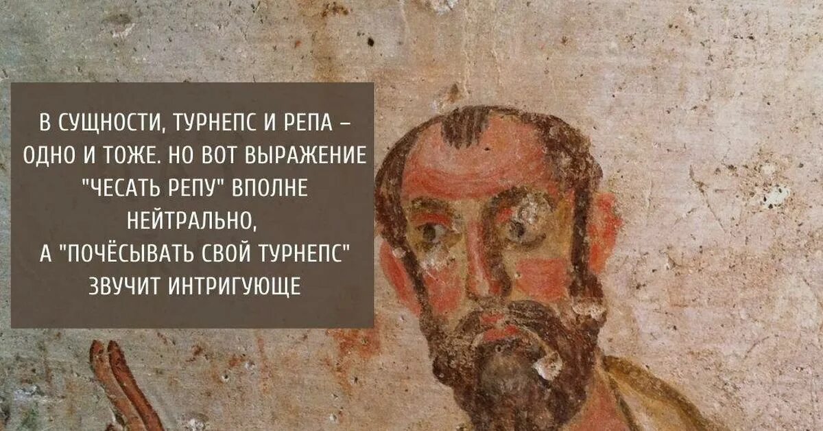 Выражение чесать. Выражение чешет репу. в сущности турнепс и репа. чесать турнепс. в сущности турнепс и репа одно и тоже.