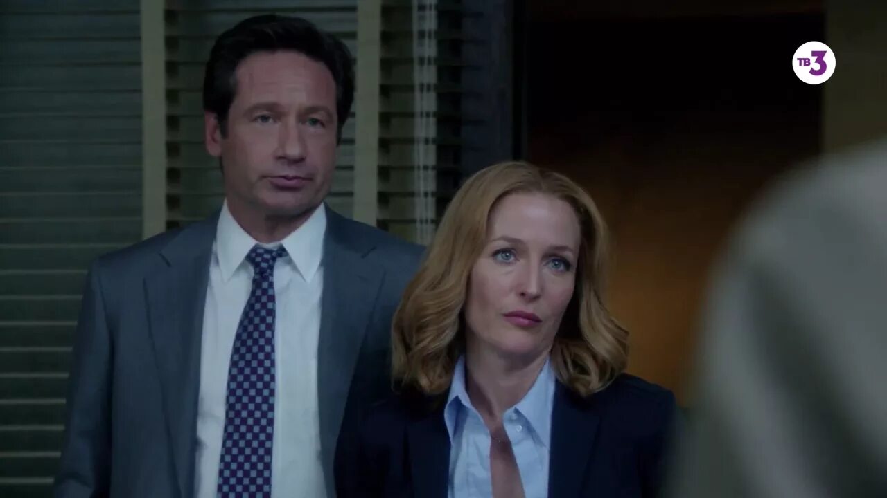Джилиан андерсон секретные материалы. X files dana scully. Рыбалка с воскресенским и скалли. Секретные материалы малдер и скалли. Рыбалка с воскресенским и скалли.