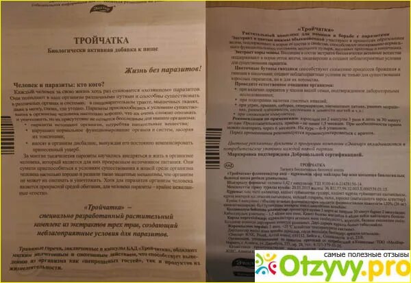 Как принимать тройчатку от паразитов. Тройчатка полынь пижма. Как принимать тройчатку от паразитов. Тройчатка от паразитов. Тройчатка полынь пижма.