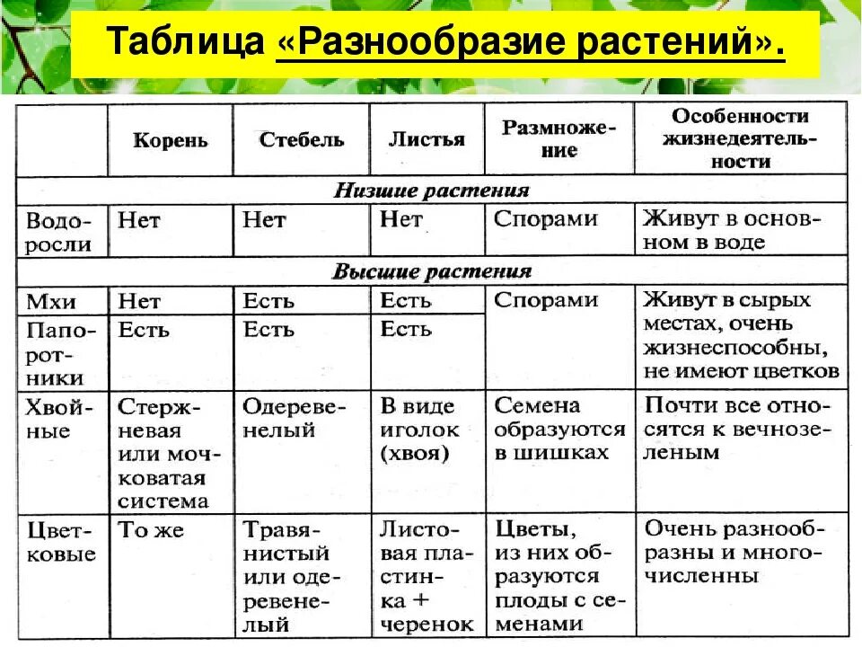 Тест культура и ее многообразие. Таблица многообразие растений 5 класс биология. Таблица разнообразие растений. Отделы растений таблица. Характеристика растений.