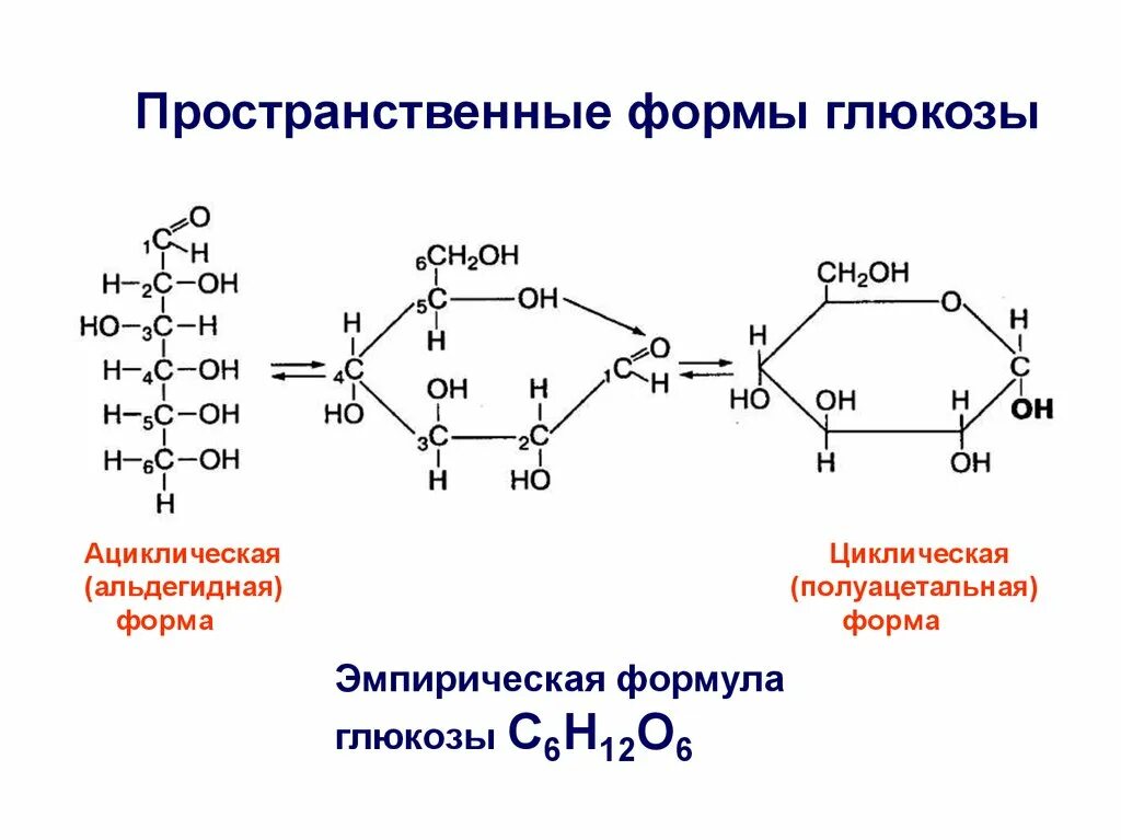 Глюкоза Ациклическая формула. Пространственная формула Глюкозы. Эмпирическая формула Глюкозы. Глюкоза циклическая и Ациклическая форма.