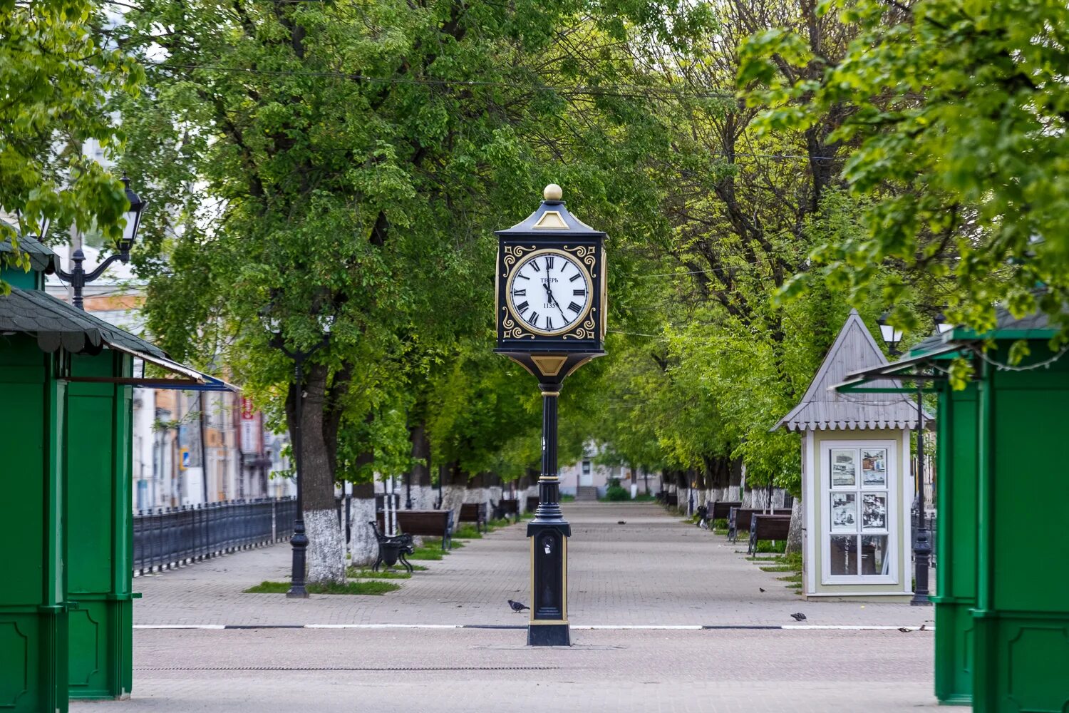 Тверь бульвар. Радищева Тверь. Г.Тверь бульвар Радищева. Тверь бульвар Радищева фото. Тверь Мироносицкий бульвар.