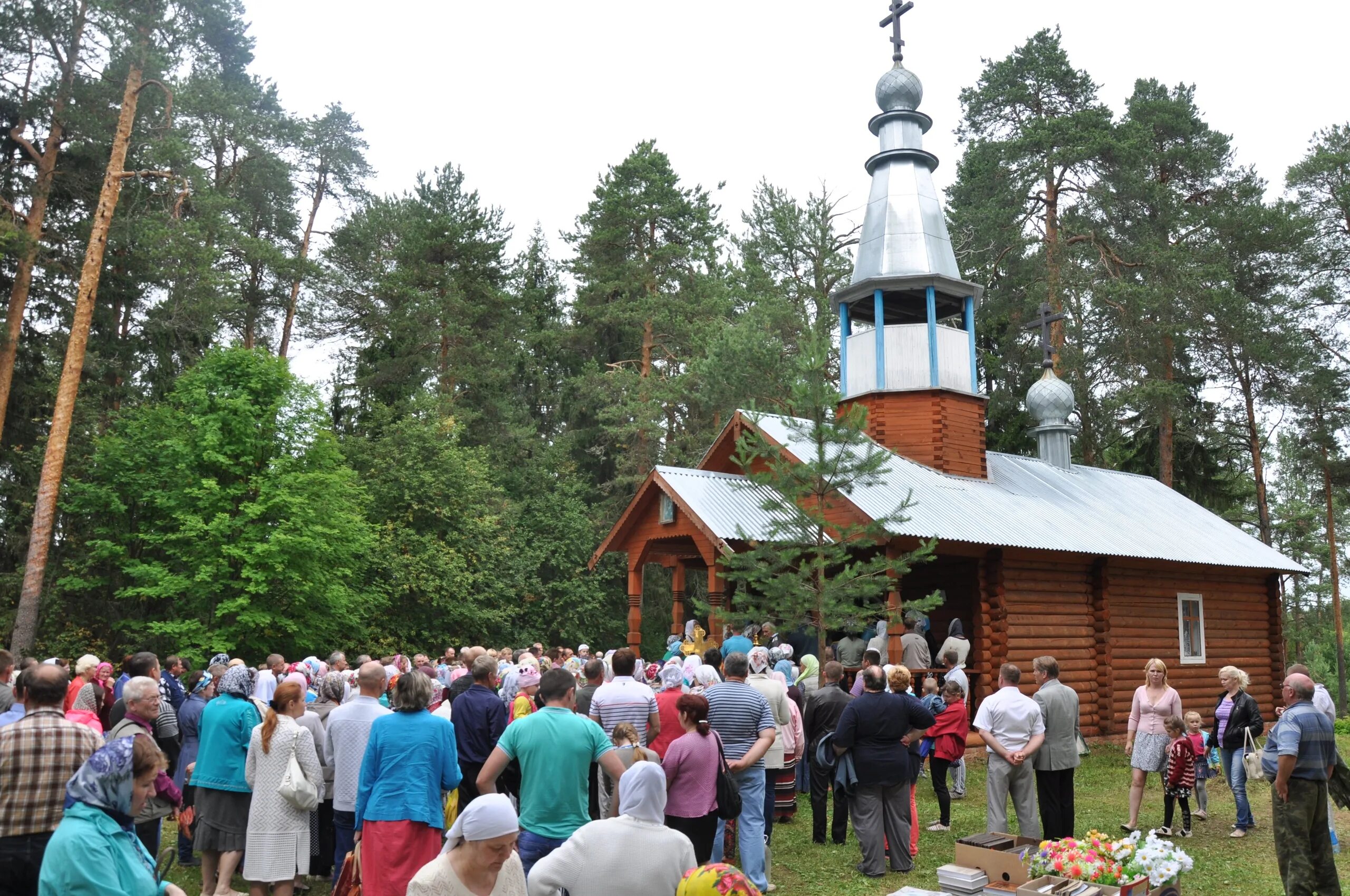 Деревня Чернцово Никольский район Вологодская область. Милофаново Никольский район Вологодская область. Никольский района Вологодской области Церковь в Чернцово. Чернцово Никольский район источник. Погода аргуново никольского вологодской