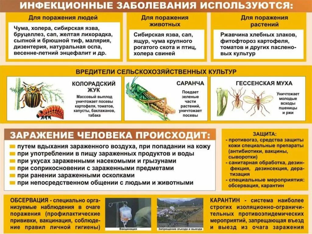 Какие средства защиты от биологического оружия. Биологическое оружие схема. биологическое оружие массового поражения. средства поражения биологического оружия. характеристика биологического оружия массового поражения.