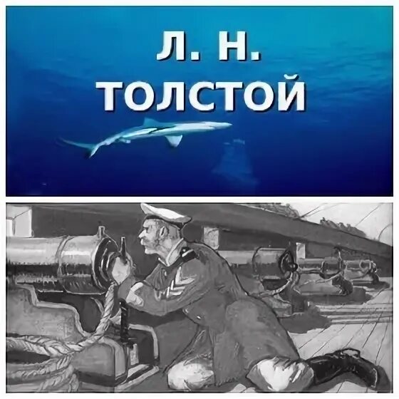 Презентация л. Толстой акула. Н. Н. План об акуле л.