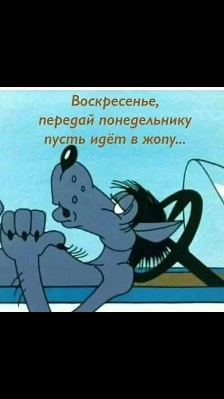 Мем воскресенье доброе утро. Завтра воскресенье. Говорят воскресенье сегодня. Говорят воскресенье сегодня. Воскресенье цитаты.