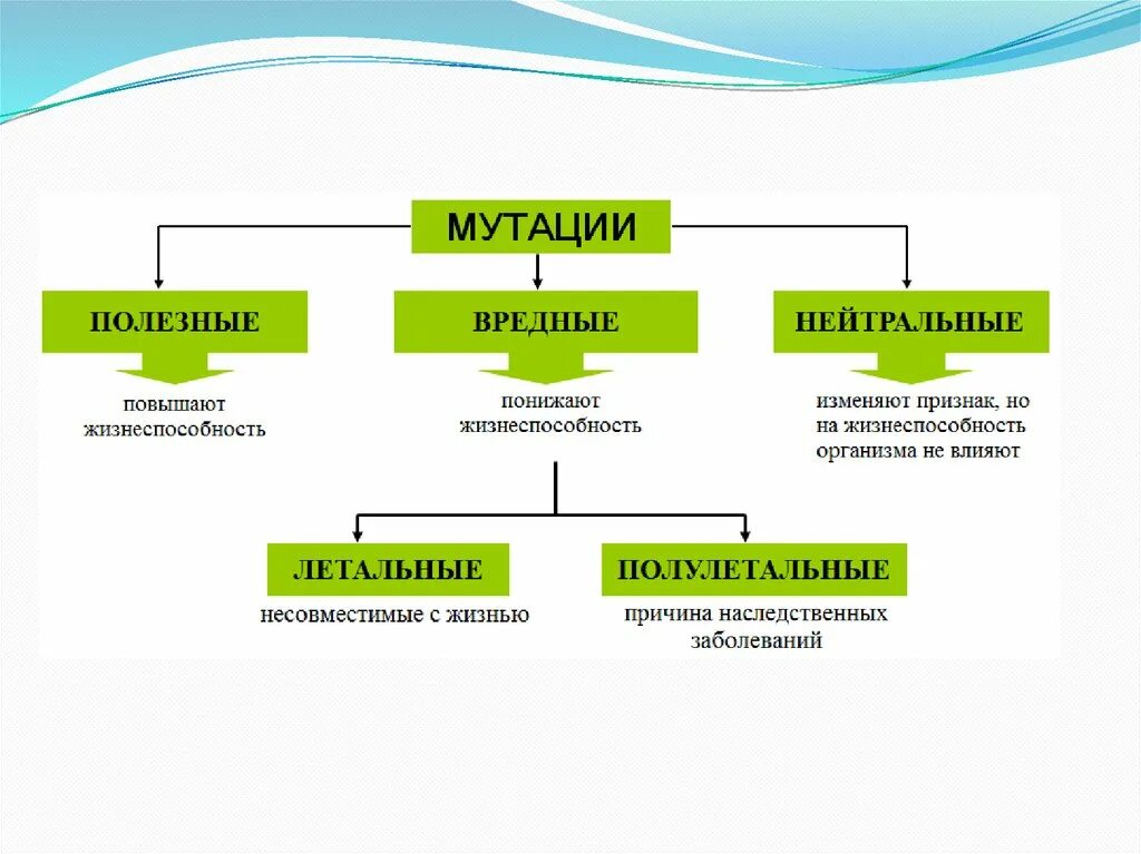 Классификация искусственного мутагенеза. Виды мутации в биологии. Виды мутаций с примерами. Мутации презентация. Какие мутации полезные