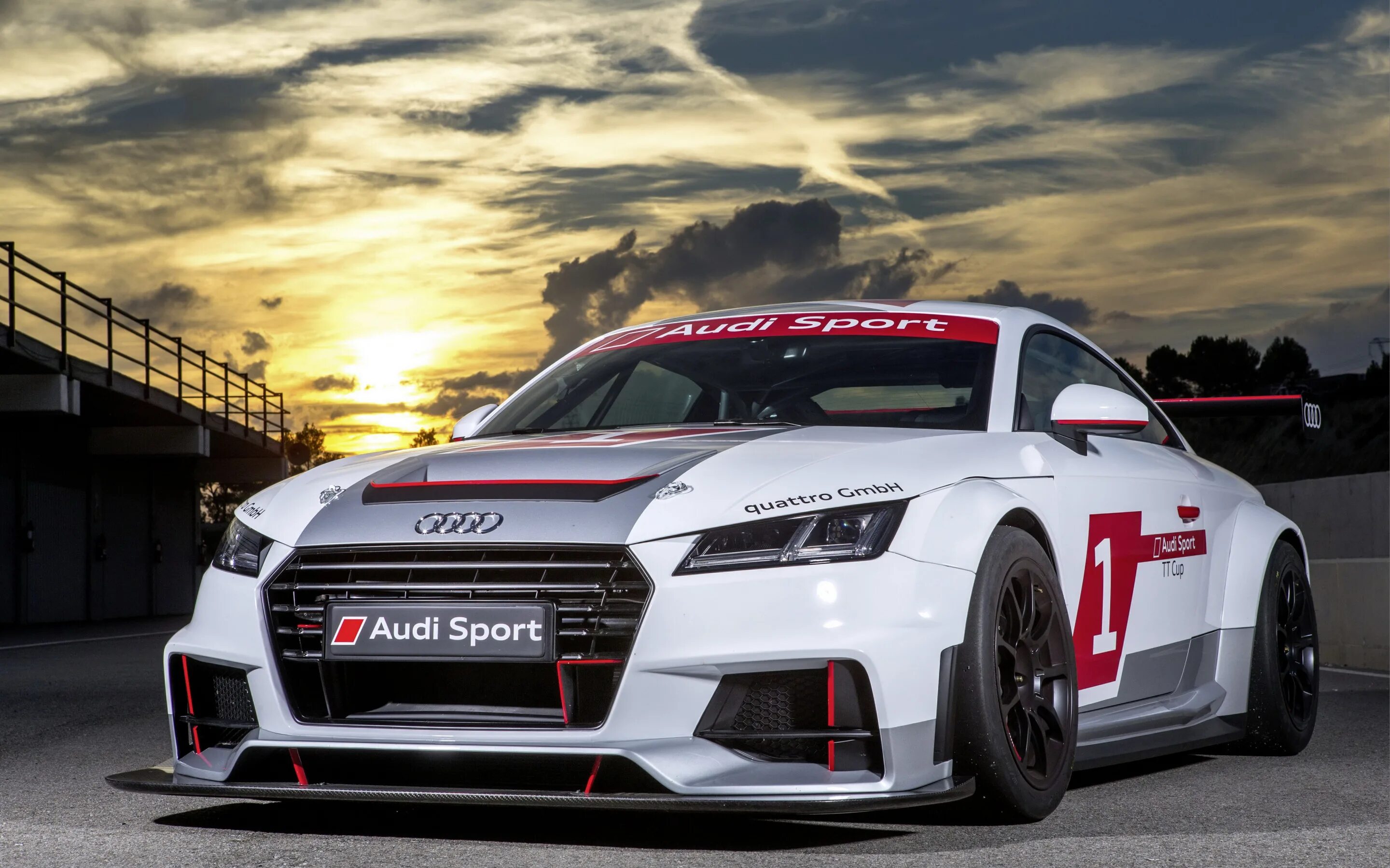 Ауди майот. 19 Audi Sport. Audi TT Sport. Audi Sport TT Cup 2015 8s. Audi TT гоночная.