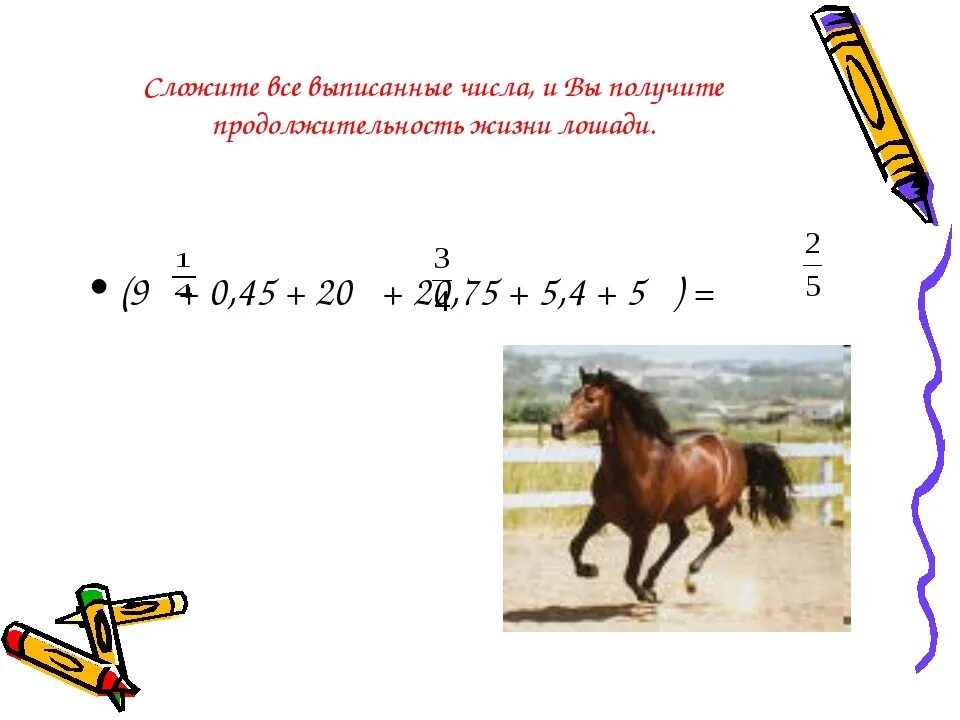 Продолжительность жизни коня. Срок жизни лошади. Сколько живет конь Продолжительность жизни. Средняя Продолжительность жизни лошади. Время жизни лошади