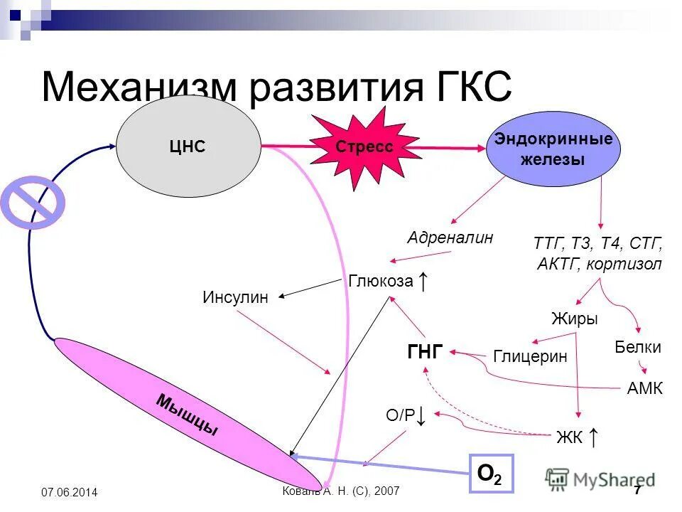 Адреналин и инсулин характеристики